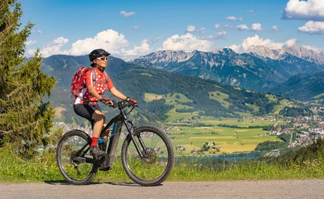 How Much Does an E-Bike Cost in Germany