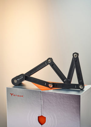 Coffret cadeau du 12e anniversaire (cadeau gratuit à l'achat d'un vélo électrique)