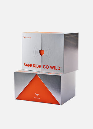 Coffret cadeau du 12e anniversaire (cadeau gratuit à l'achat d'un vélo électrique)