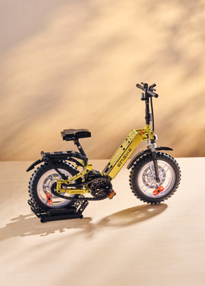 Coffret cadeau du 12e anniversaire (cadeau gratuit à l'achat d'un vélo électrique)