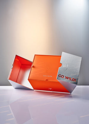 Coffret cadeau du 12e anniversaire (cadeau gratuit à l'achat d'un vélo électrique)